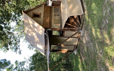 Huts on stilts Forêt supérieure 2p