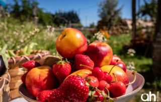 Summer fruits in Ardèche