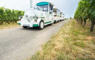 Le petit train des vignes